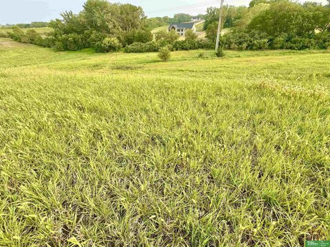 Acreage Lot in Gretna, Nebraska