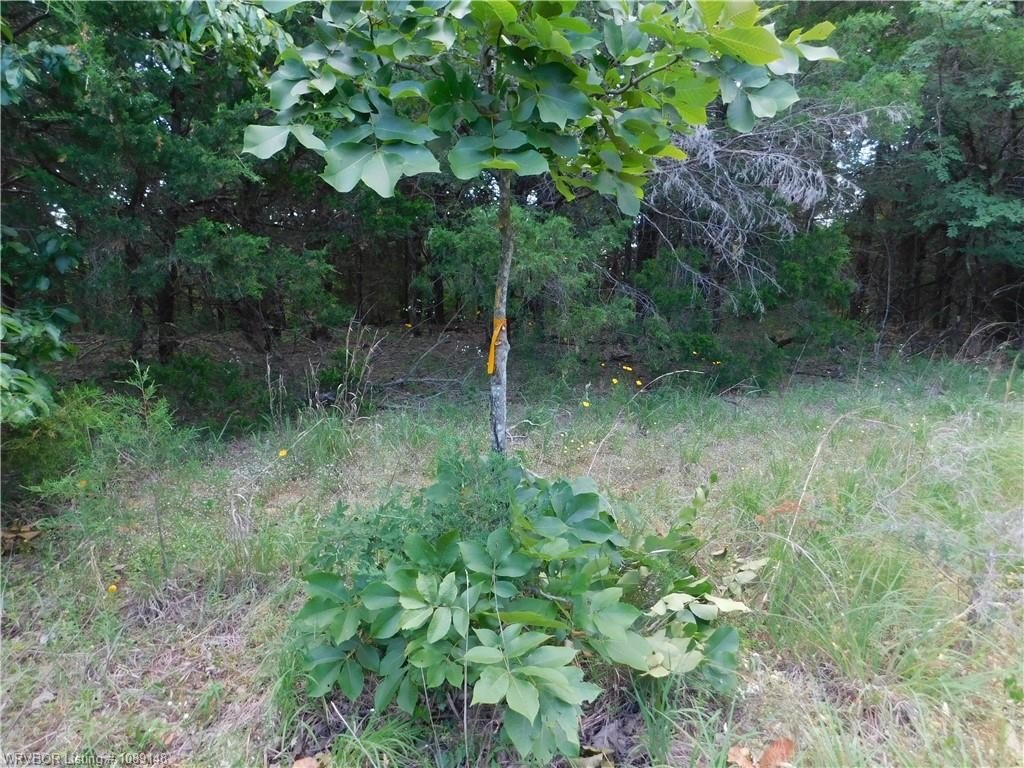 Picture 5