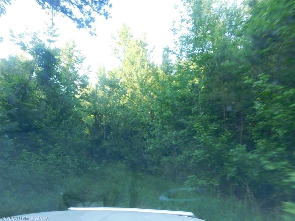 Picture 16