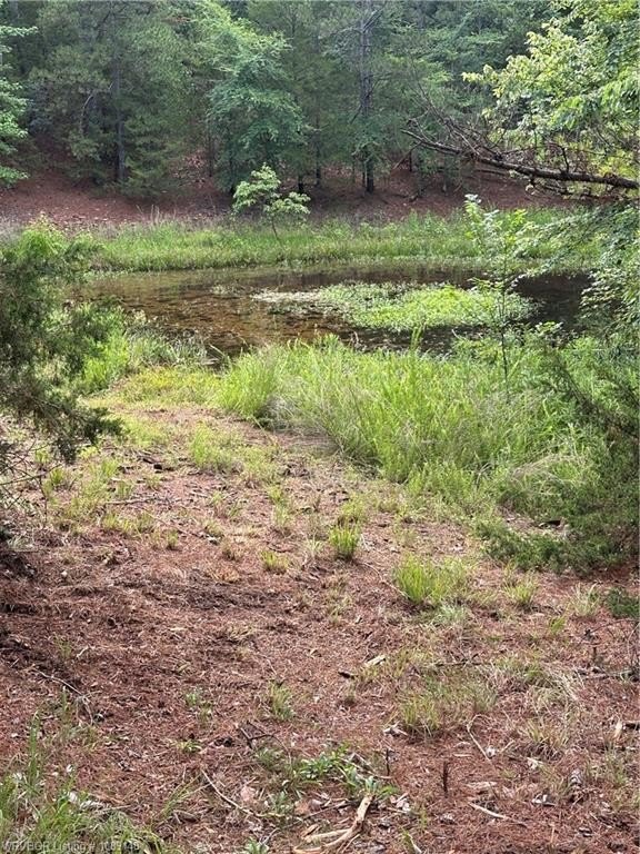 Picture 10