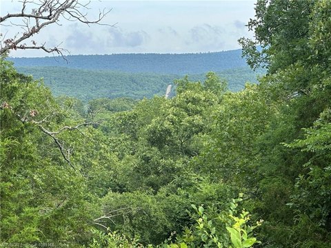 30.5 Acres Near Booneville