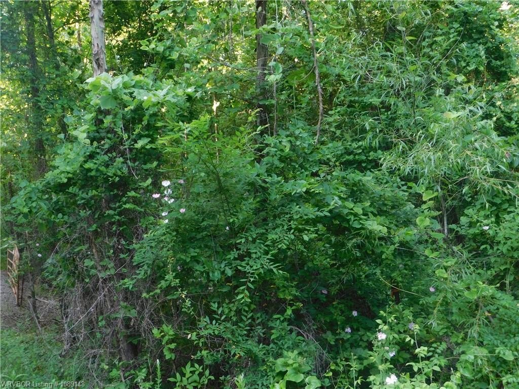 Picture 11