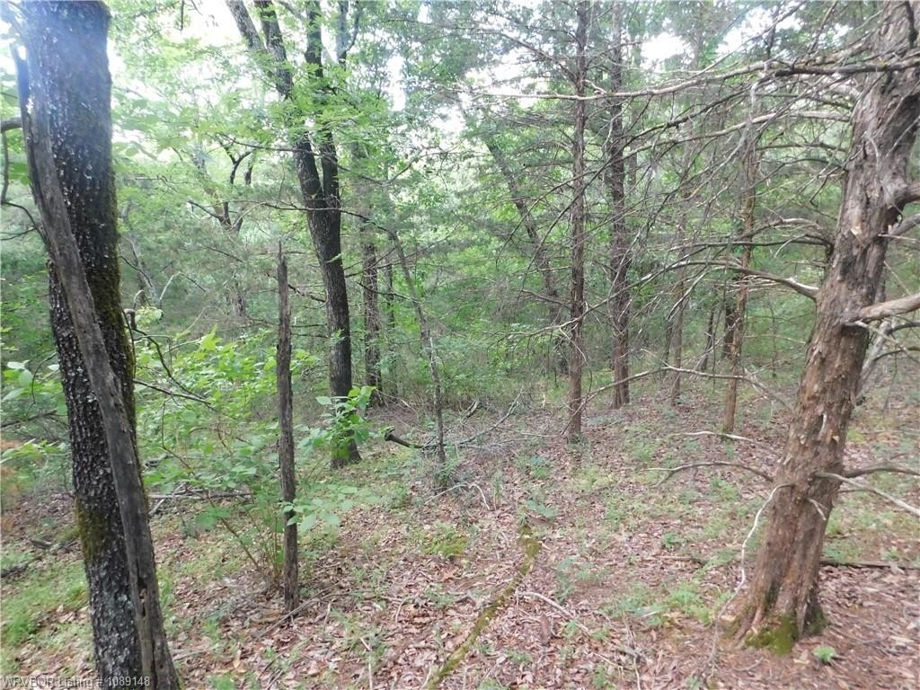 Picture 8