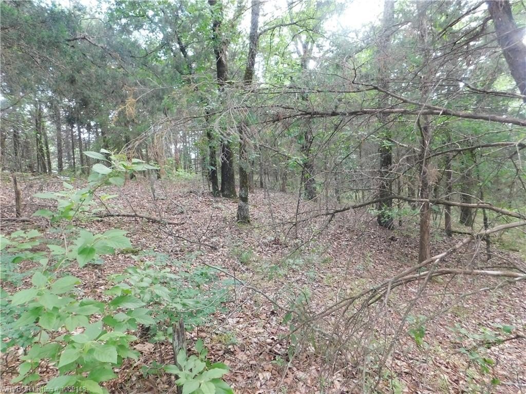Picture 9