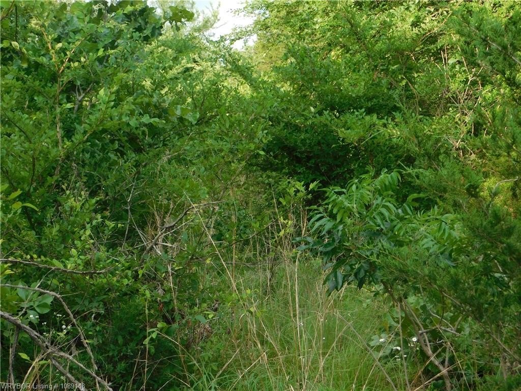 Picture 10