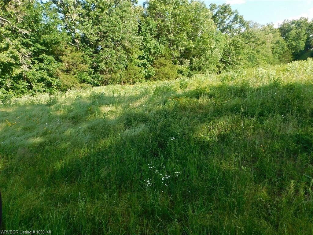 Picture 14