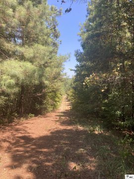 LAND, Homer, LA