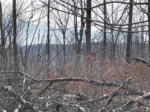 Mountain View Land in Pikeville
