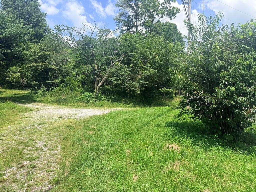 Picture 4