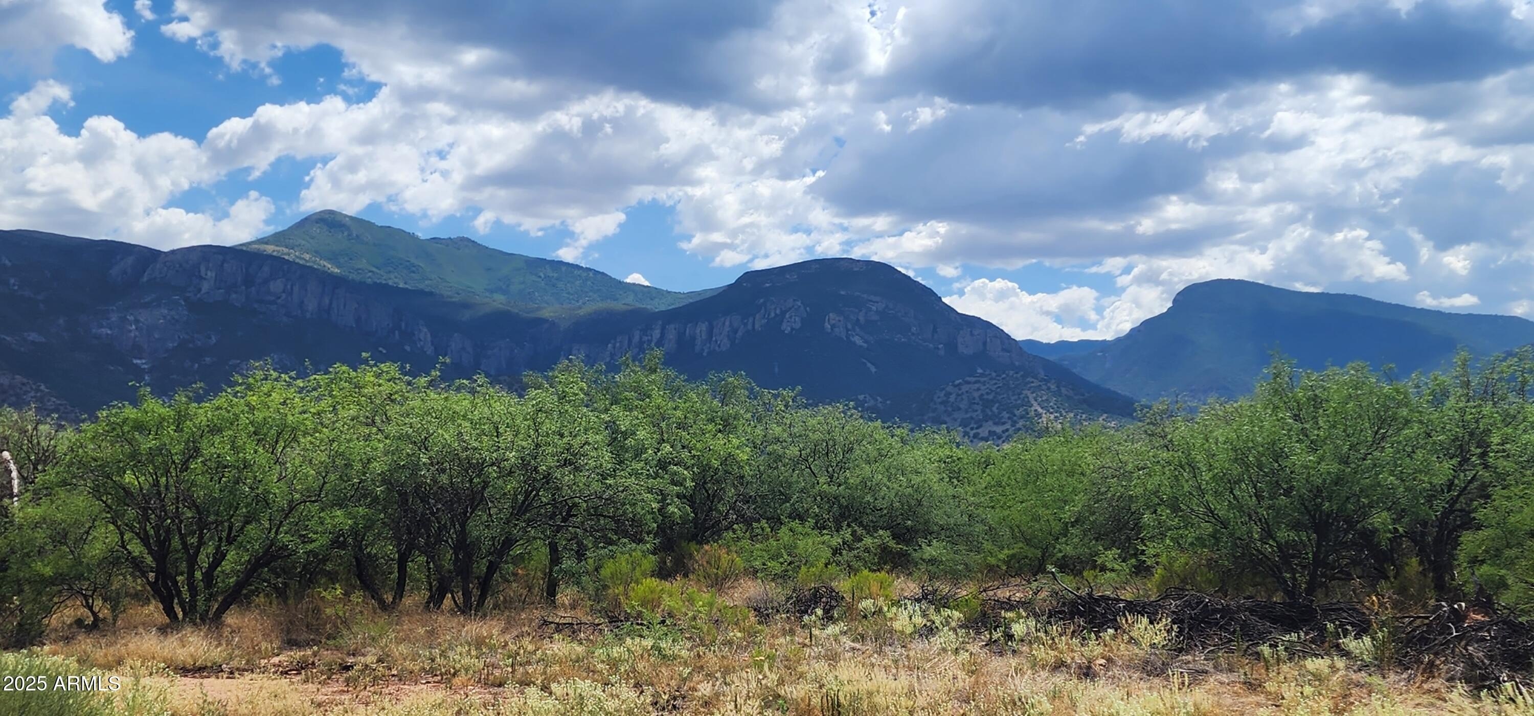 Hereford Land with Mountain Views