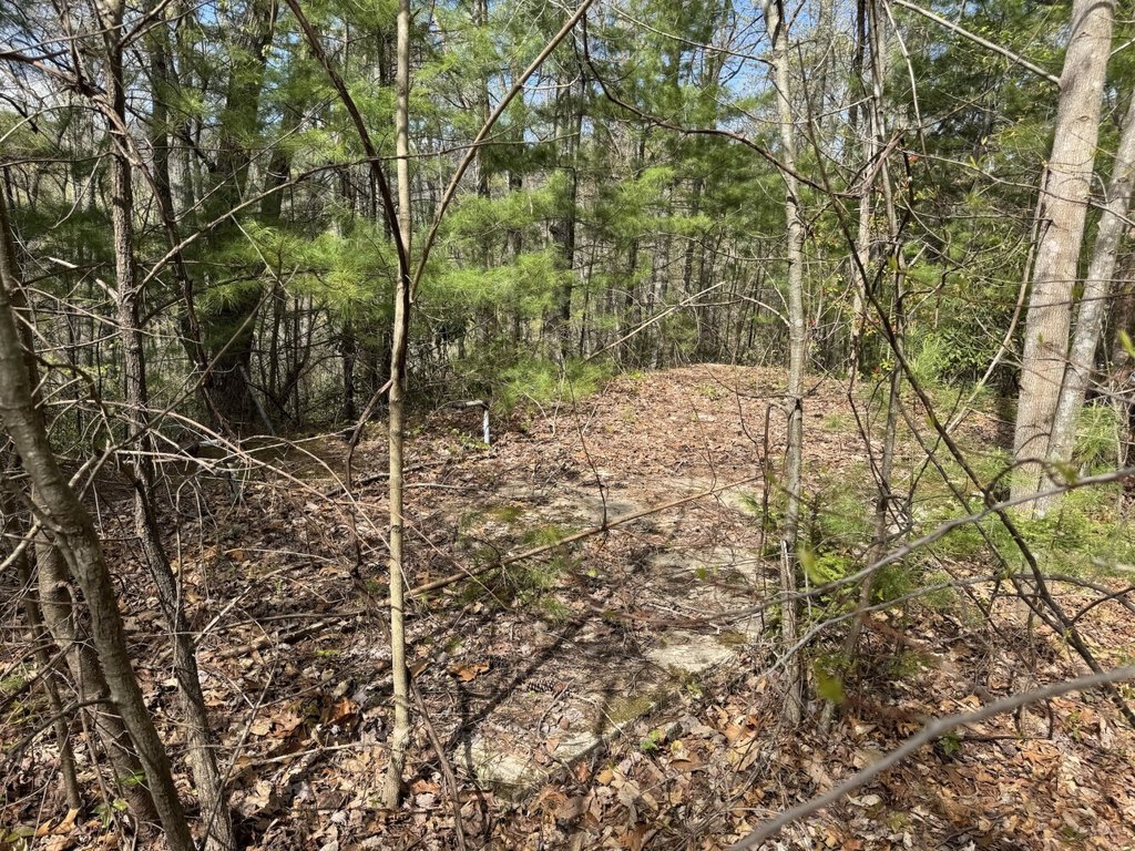 Picture 11