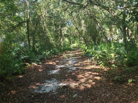 Land, LEESBURG, FL