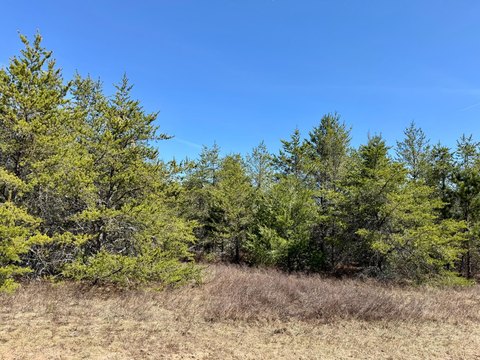 Land, Woodruff, WI