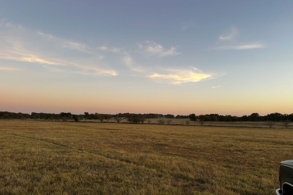 Picture 23