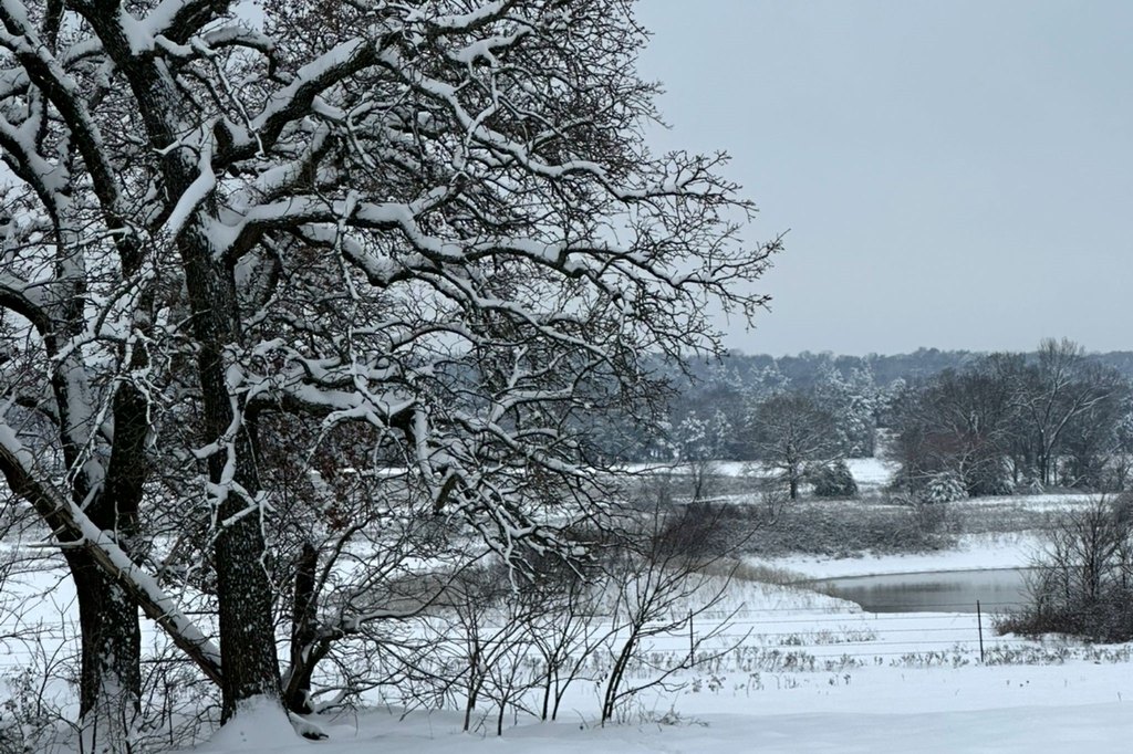 Picture 11
