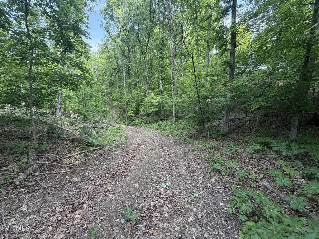 Picture 7