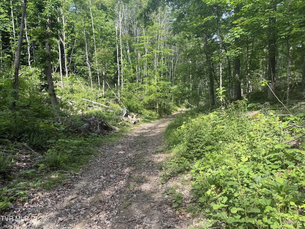 Picture 9