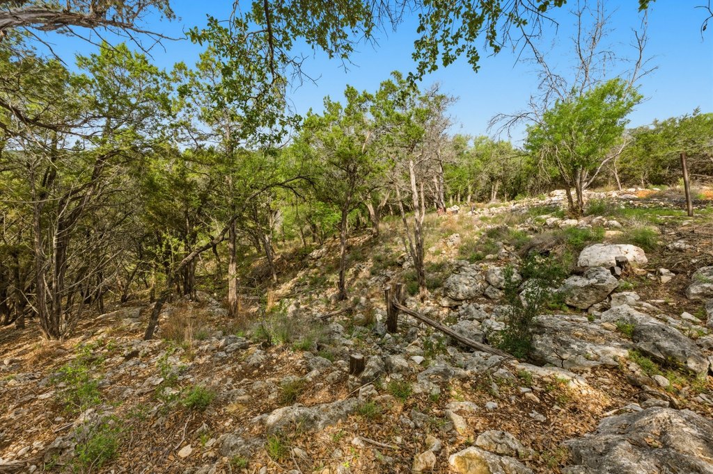 Picture 21