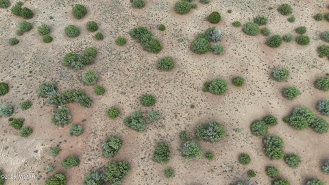 LAND - Snowflake, AZ