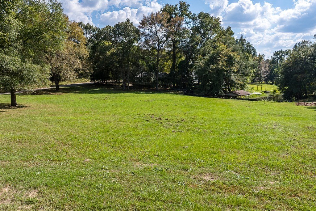 Picture 10