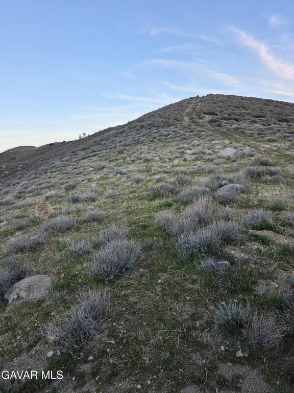 Picture 12