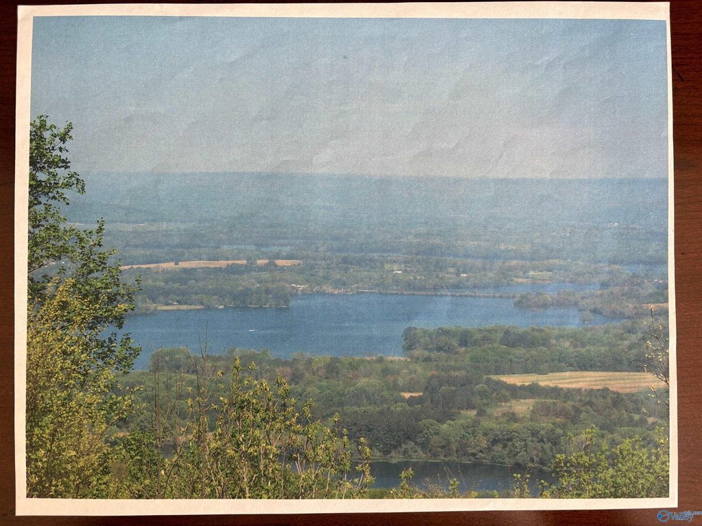 Picture 27