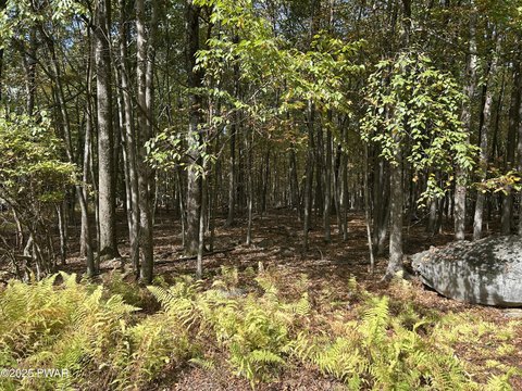 Wooded Lot in Bushkill, PA