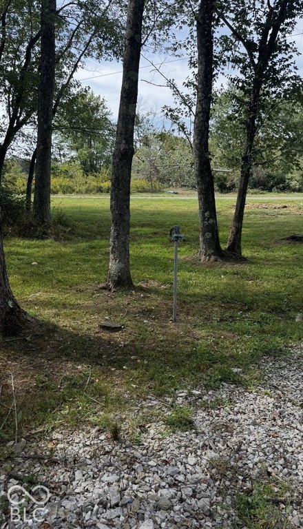 Picture 26