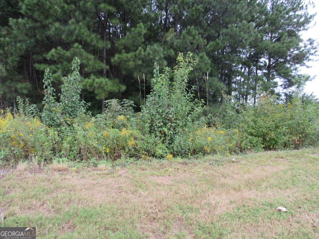 Picture 3