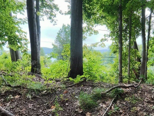 Picture 4