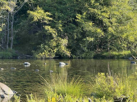 Smith River Waterfront Land