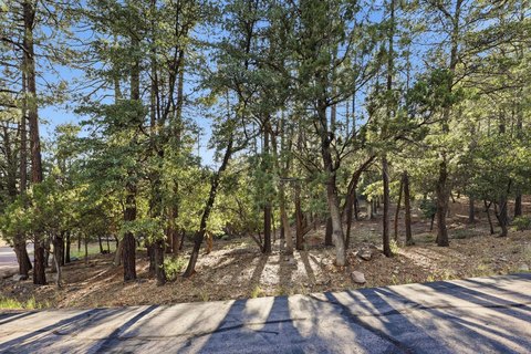 Land, Pine, AZ