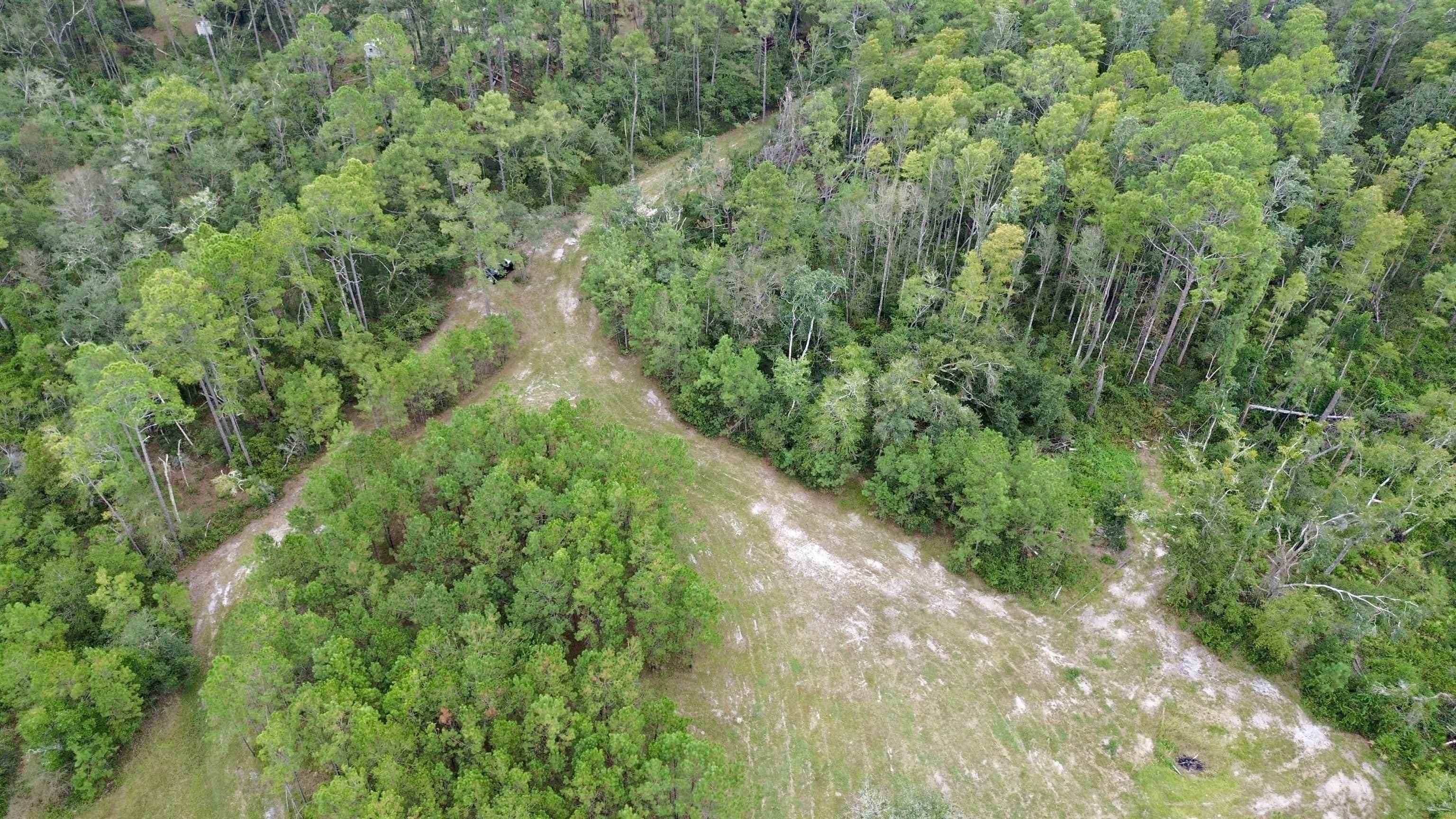 6.87 Acres in Shady Grove