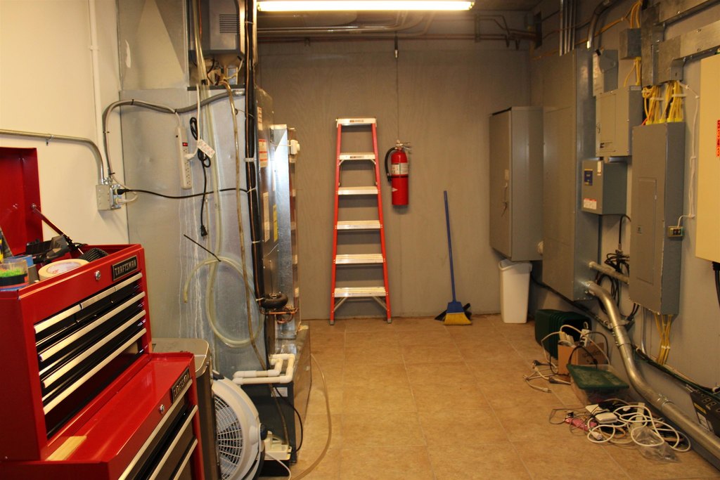 Picture 37