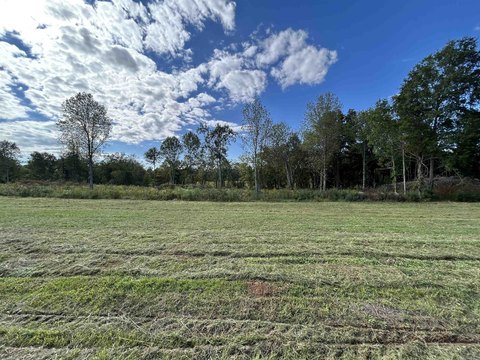 LAND - Savannah, TN