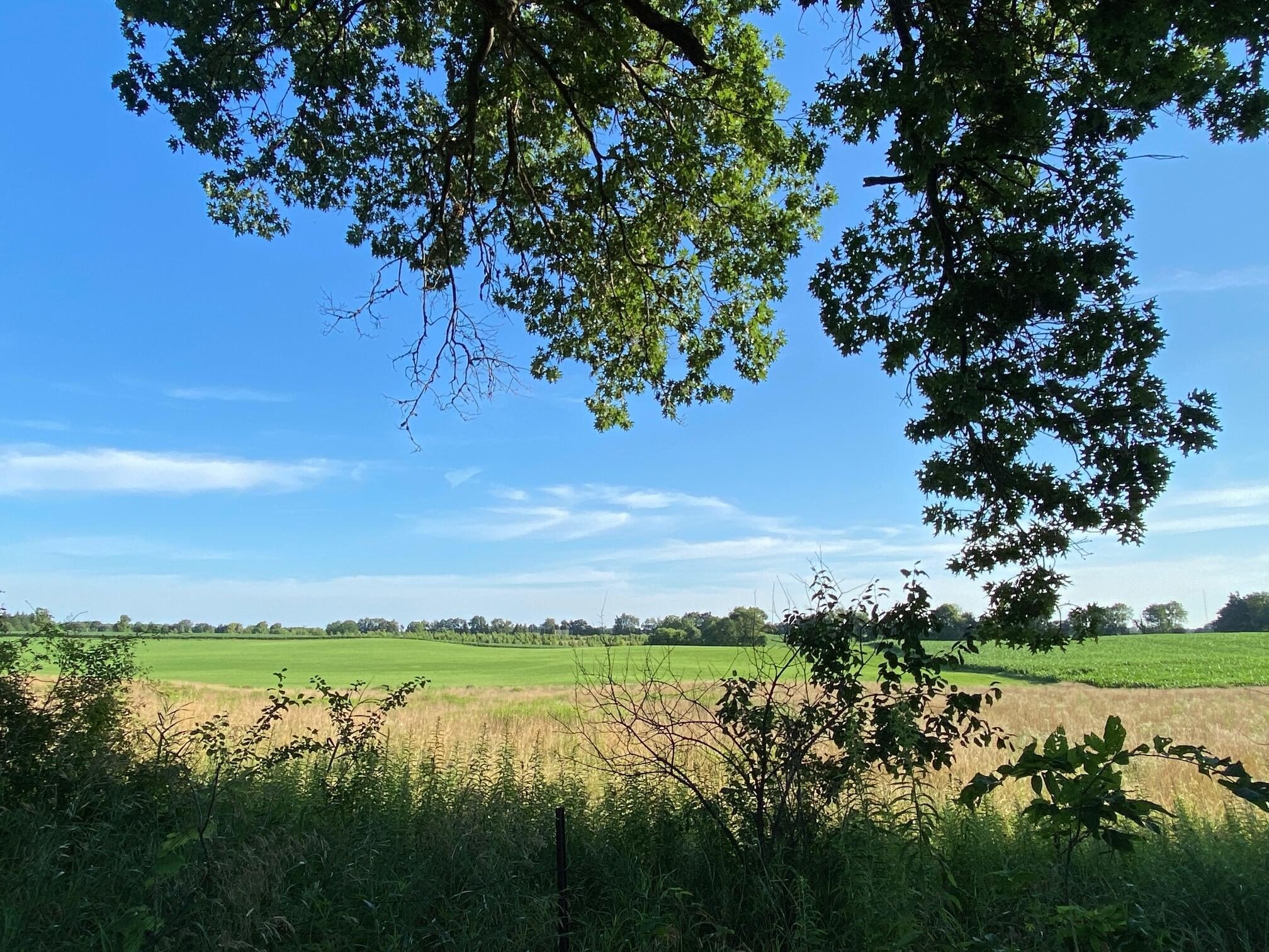 Richland, MI 2-Acre Lot