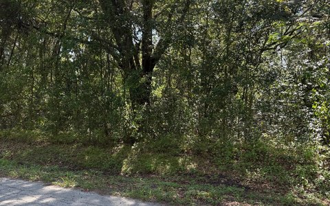 Vacant Land, Lake City, FL