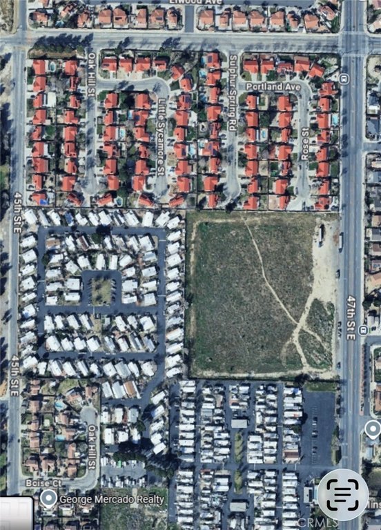 Picture 41