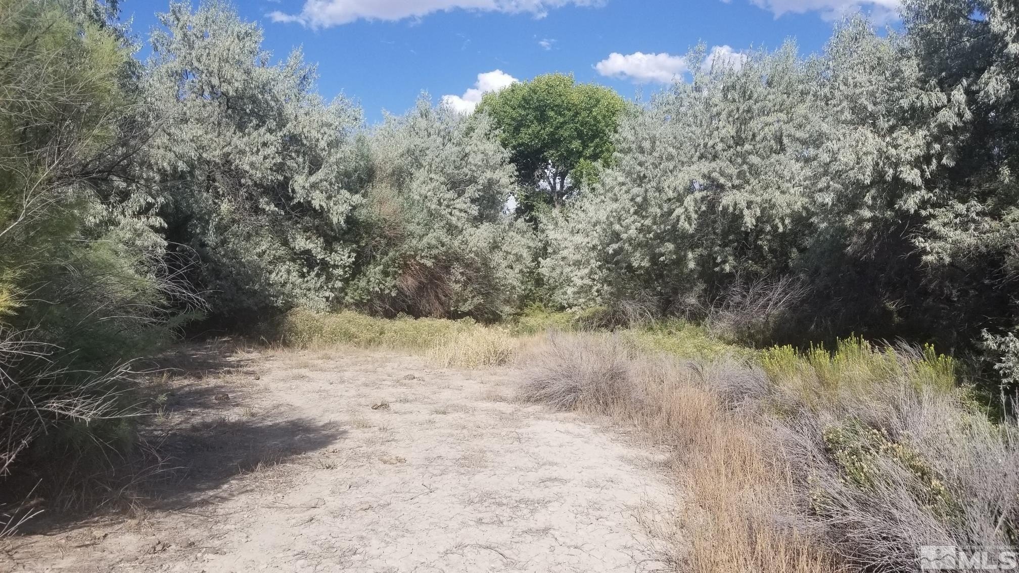 Lovelock Land with Subdivision Potential