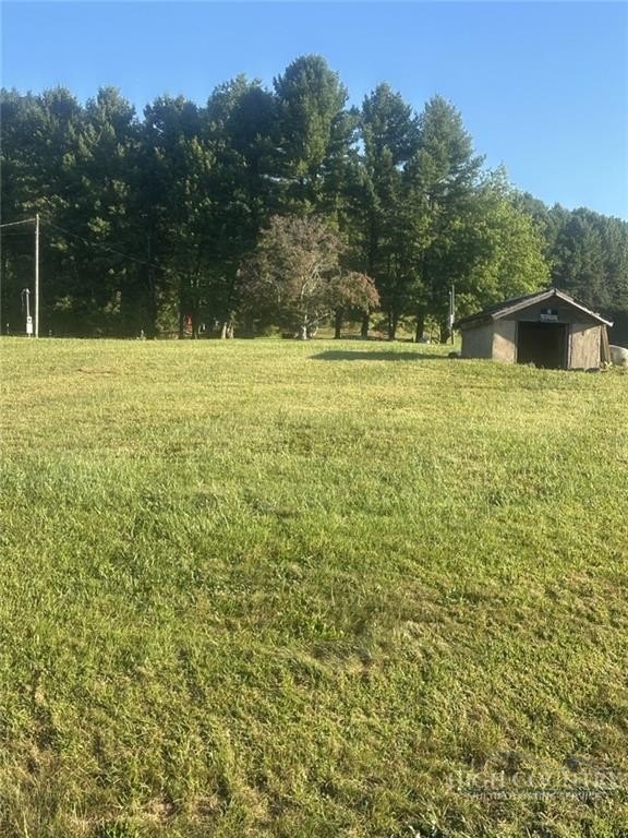 Picture 5