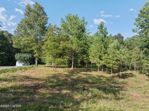 Residential Land in Cedar Grove