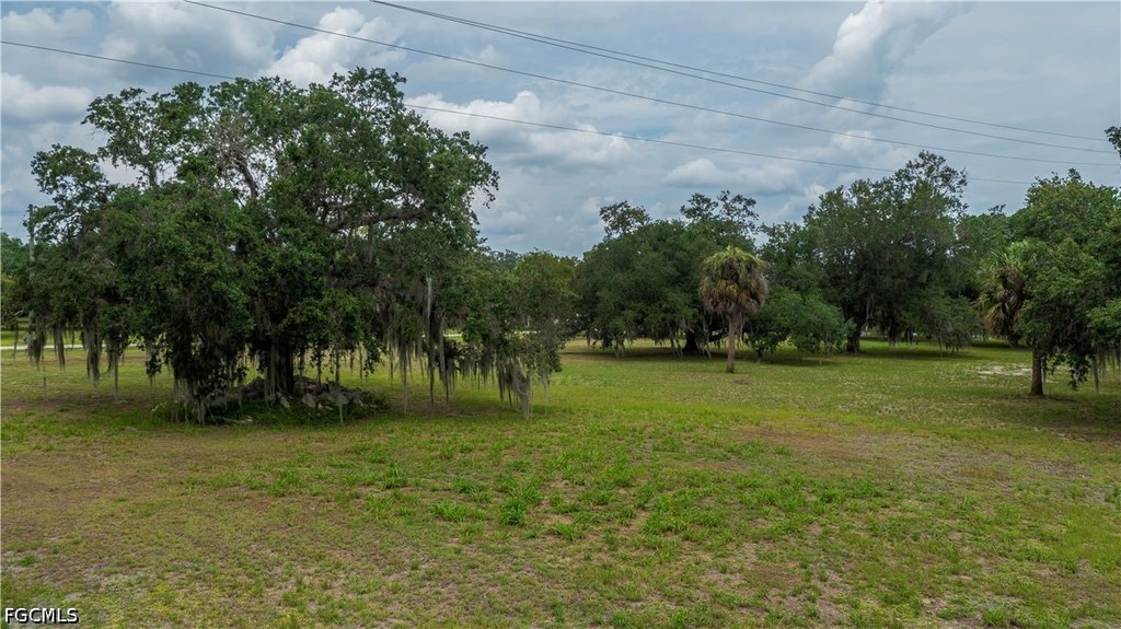 Picture 20
