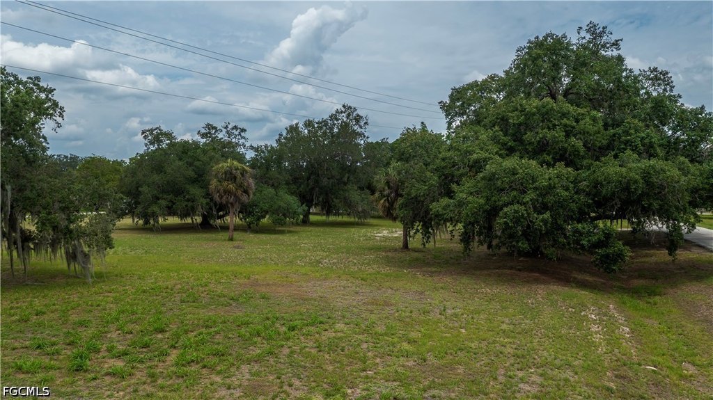 Picture 21