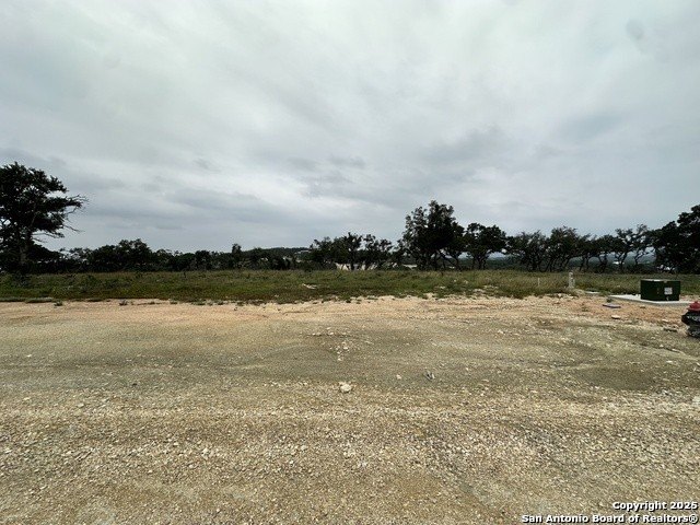 Picture 7