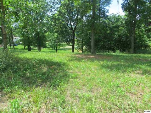 Residential Land in Sevierville, TN
