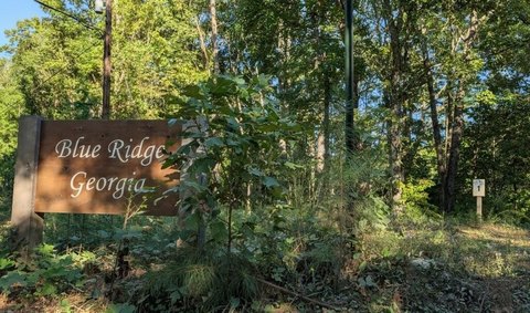 Vacant Lot, Blue Ridge, GA