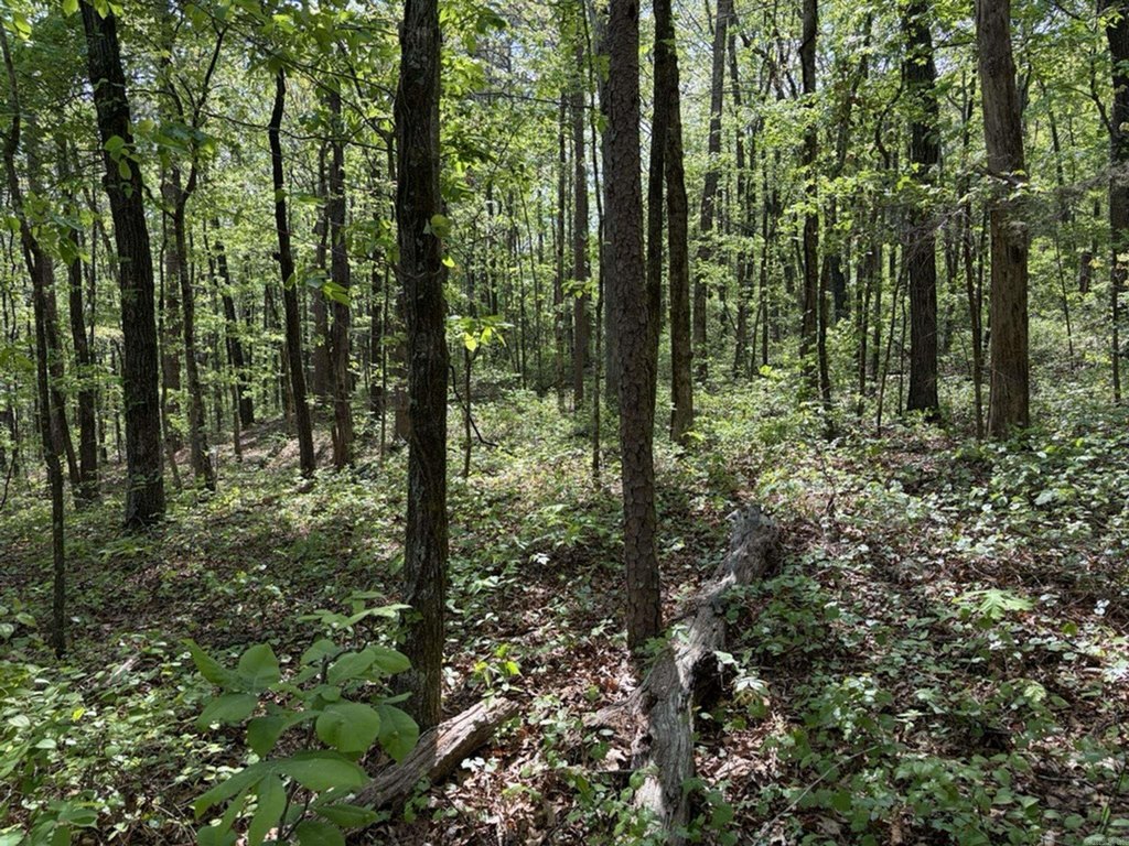Picture 20