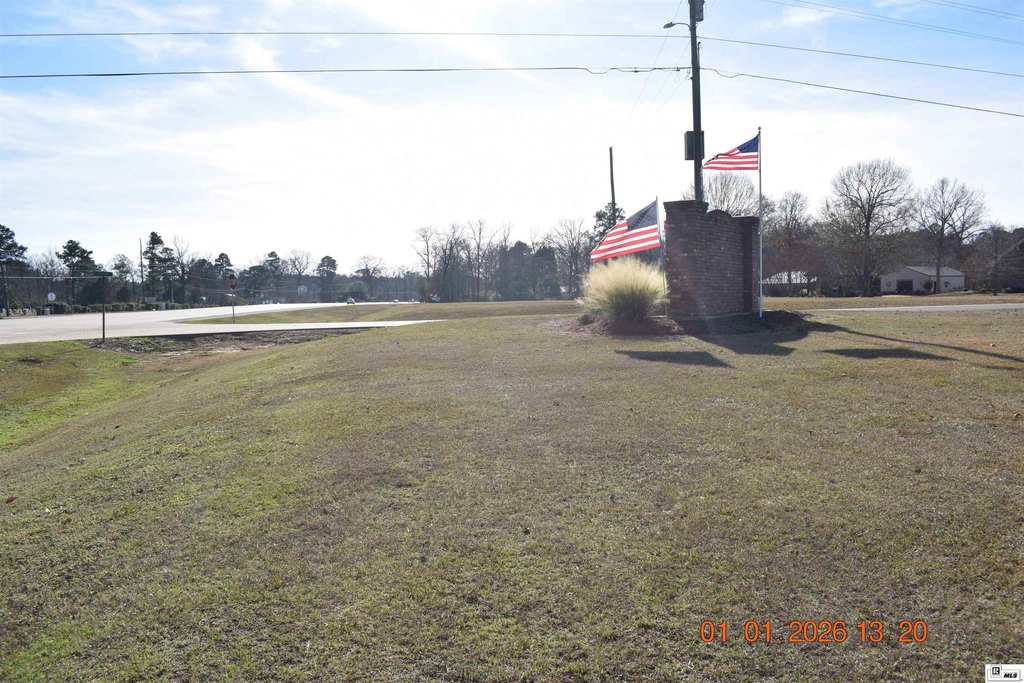 Picture 5