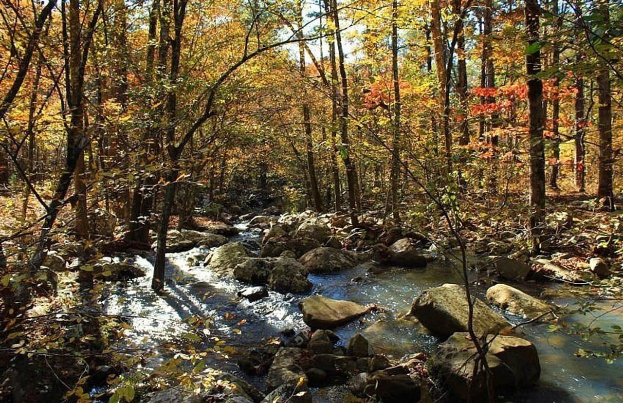 80 Acres Hunting Escape, Heavener OK