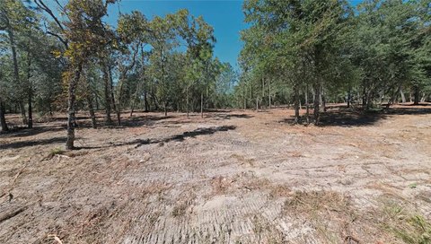 Land, WILLISTON, FL
